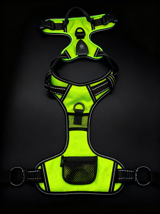 Peitoral LED para Cães