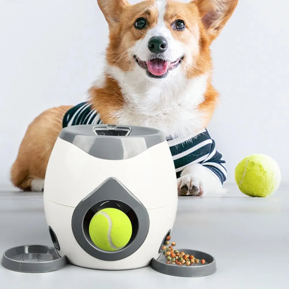 Lançador Interativo de Bolinhas