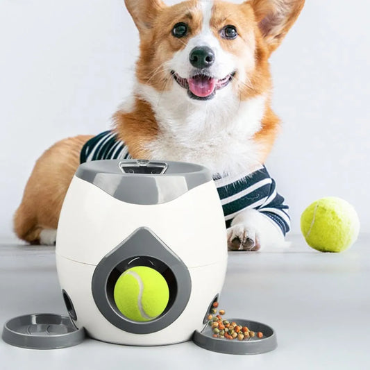 Lançador Interativo de Bolinhas