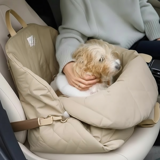 TravelBuddy - Bolsa de Transporte