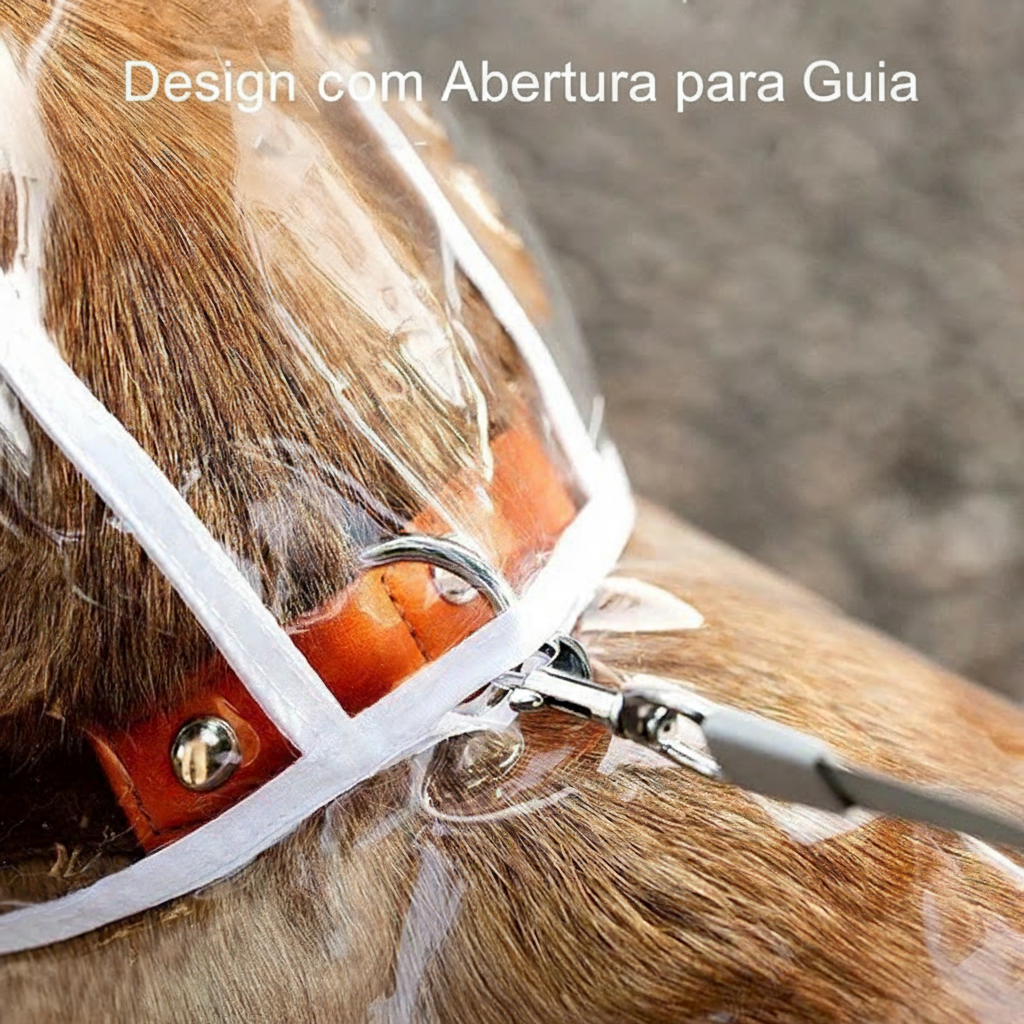 Capa de Chuva Transparente