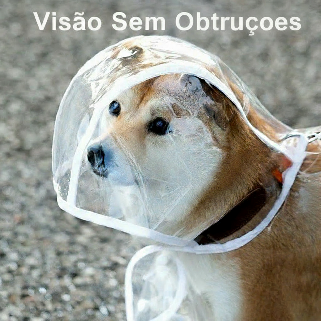 Capa de Chuva Transparente