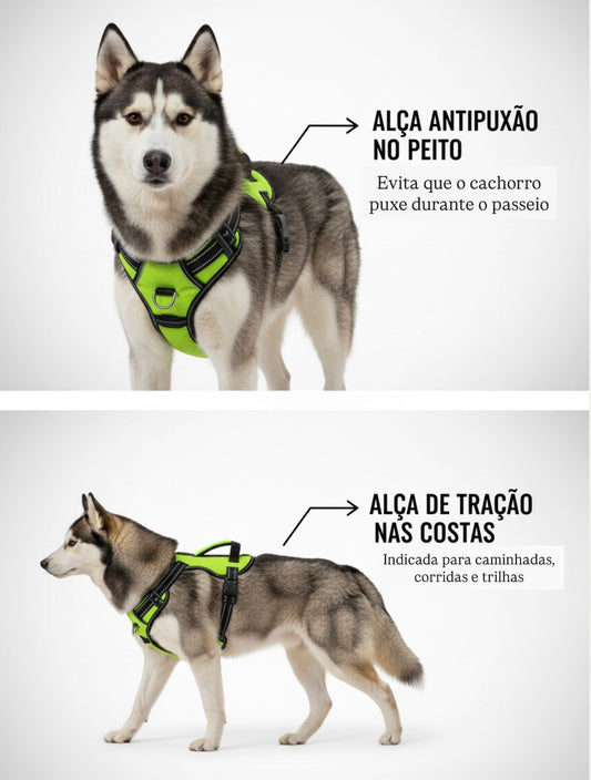 Peitoral LED para Cães